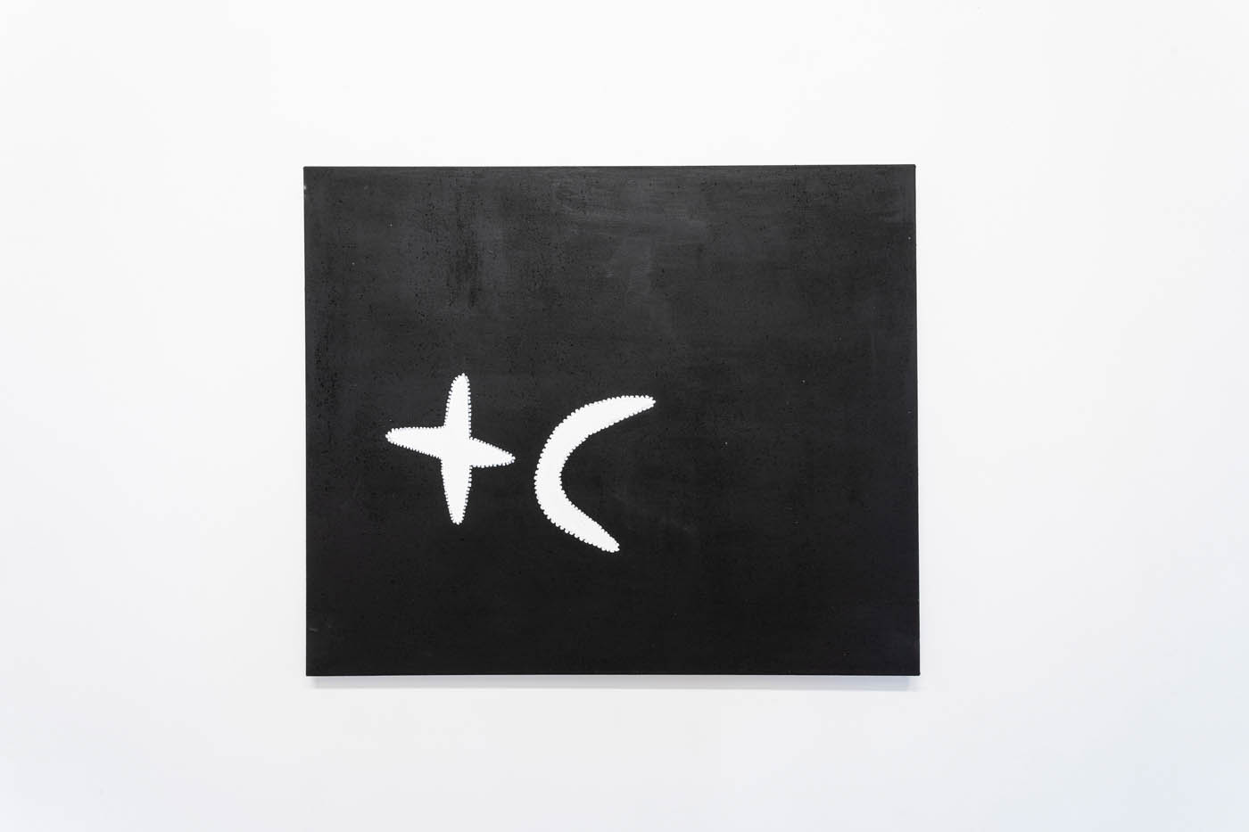 _A219333_Photo_Tobias_Titz_