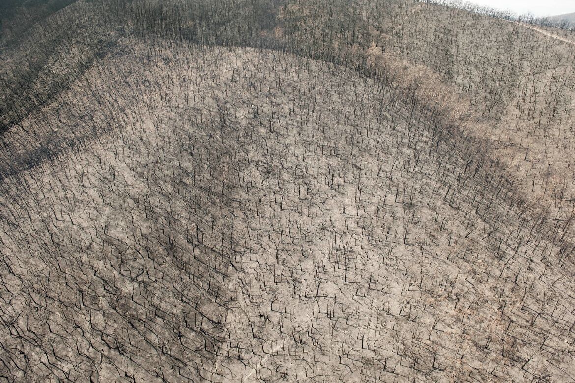 Black-Saturday-478m-37°3229.0S-145°1822.3E-2009-L-090307_D3X_6865