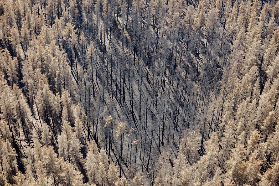 Black-Saturday-722m-37°2825.9S-145°1324.5E-2009-090307_D3X_6193