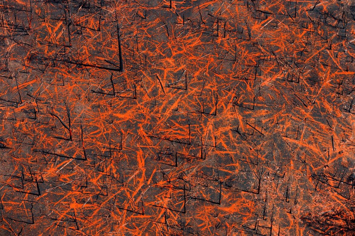 Black-Saturday-875m-37°2508.2S-145°1232.8E-2009-090307_6217-output