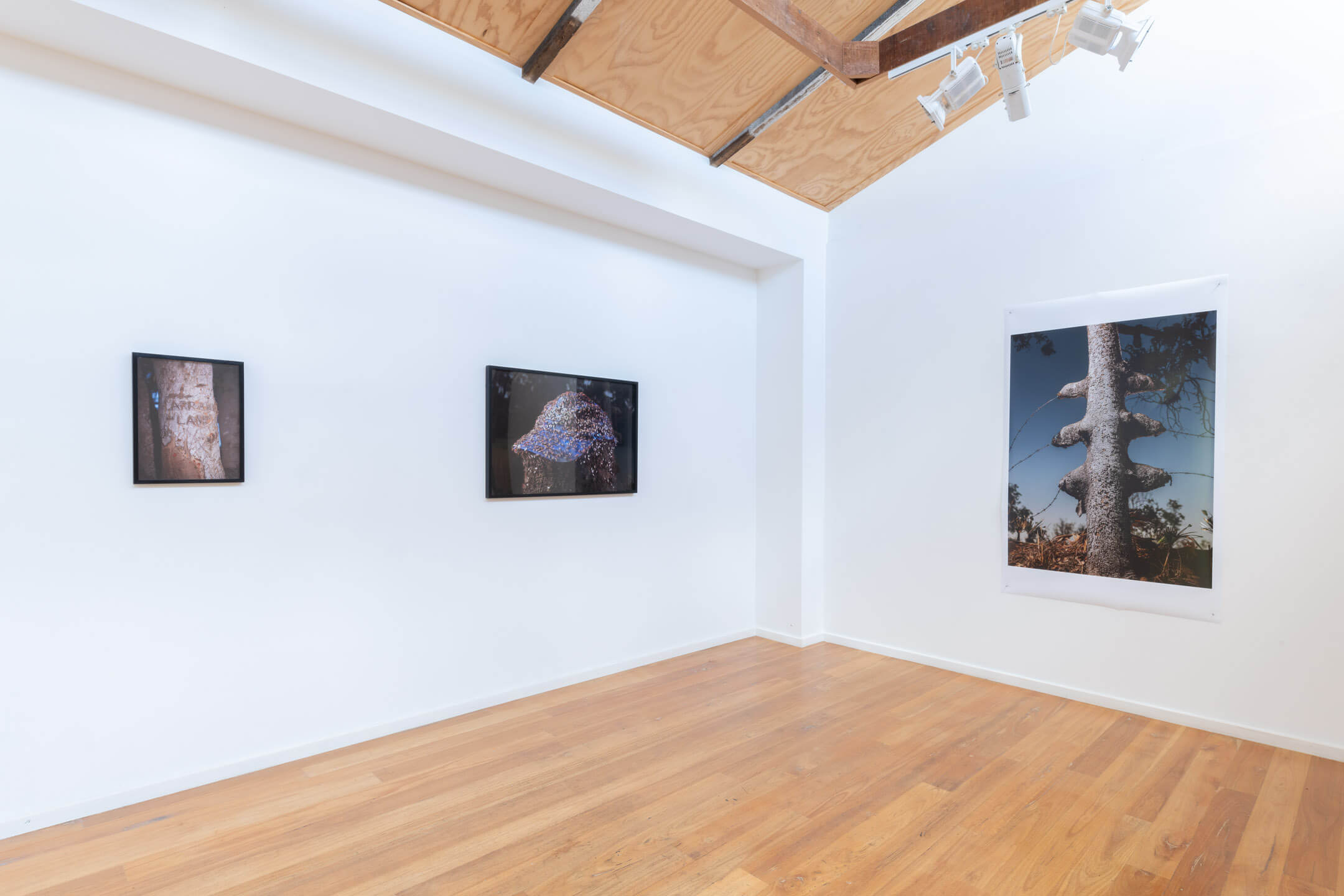 Coates-Fenwick-The-Lennox-20220210_DSC7868-edit