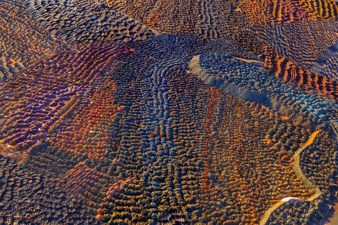 Mt-Newman-Overburden-3-811m-2009-091134_RHS0835